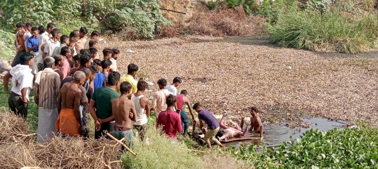 चार दिन पहले घर से गायब ब्यक्ति की तालाब में मिली लाश