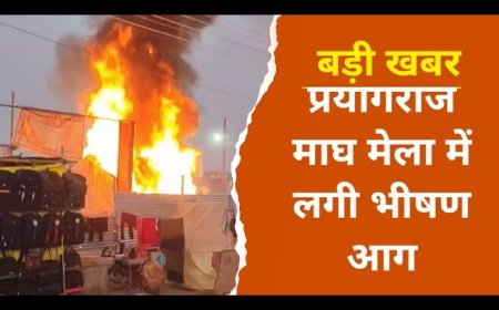 प्रयागराज माघ मेले 2026 में लगी भीषण आग