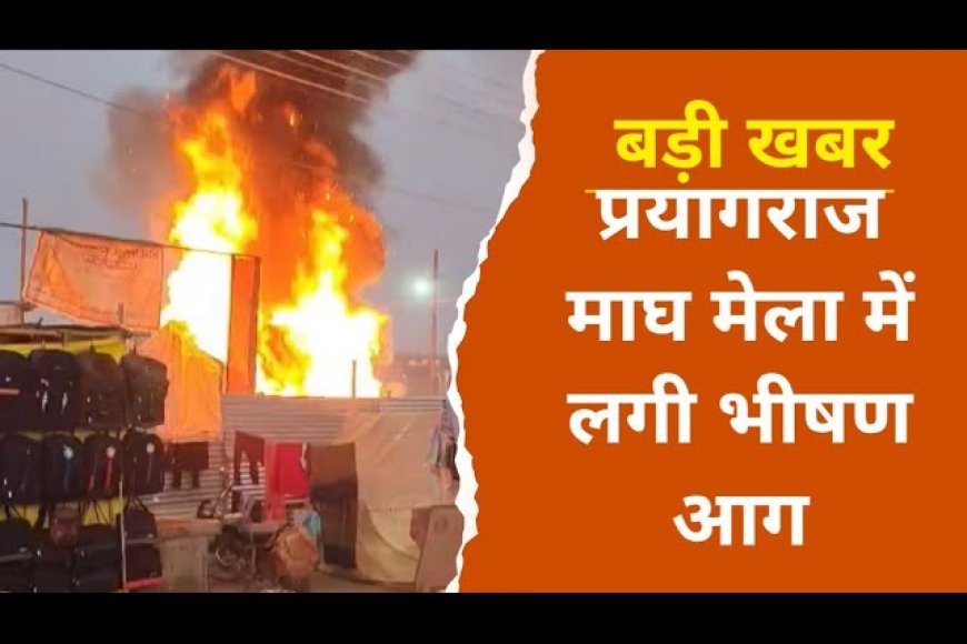 प्रयागराज माघ मेले 2026 में लगी भीषण आग